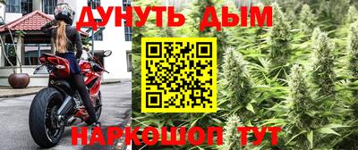 МДПВ Гусев