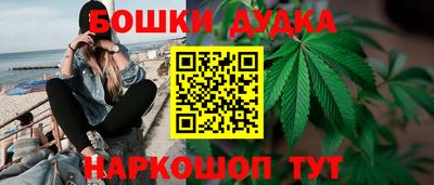 ГАЛЛЮЦИНОГЕННЫЕ ГРИБЫ Гатчина