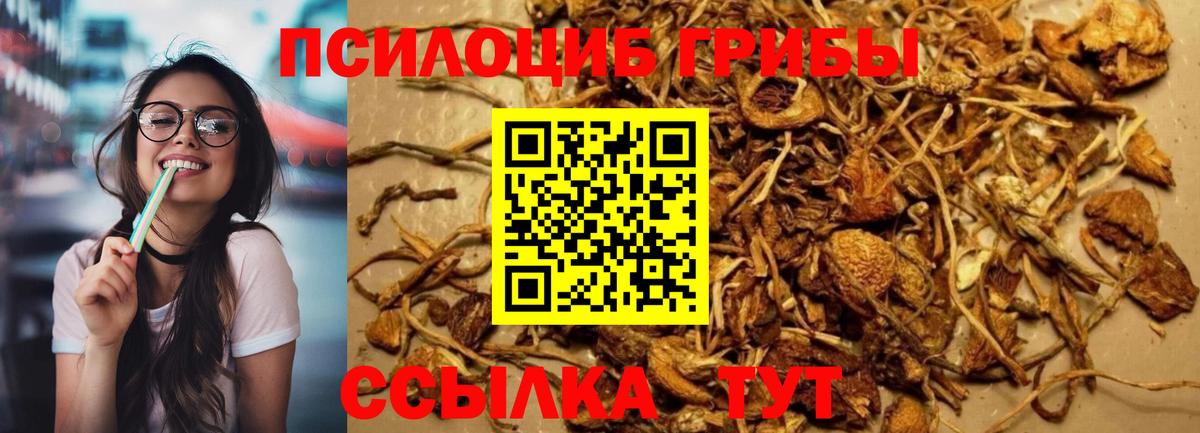 Псилоцибиновые грибы ЛСД  Вход с VPN  Каменка 