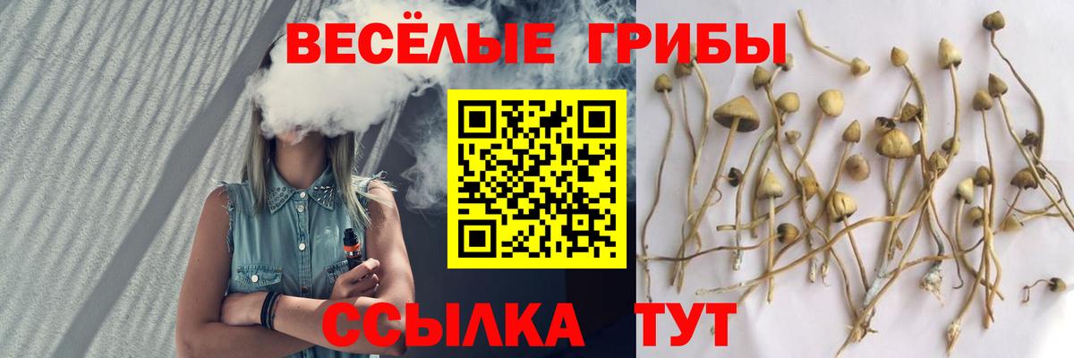 Галлюциногенные грибы Cubensis Каменка